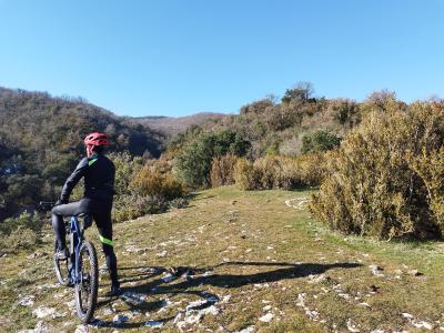 Ruta en bici en Tierras de Iranzu por un camino